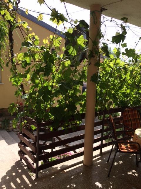 House For Holidays Kozul Ražanac Εξωτερικό φωτογραφία