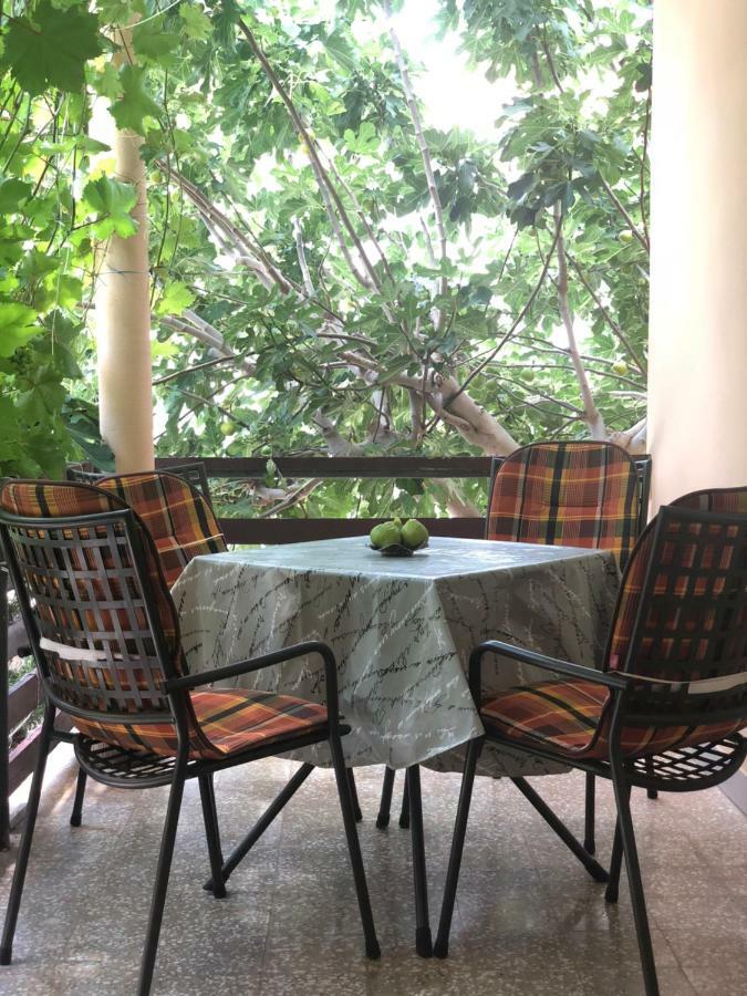 House For Holidays Kozul Ražanac Εξωτερικό φωτογραφία